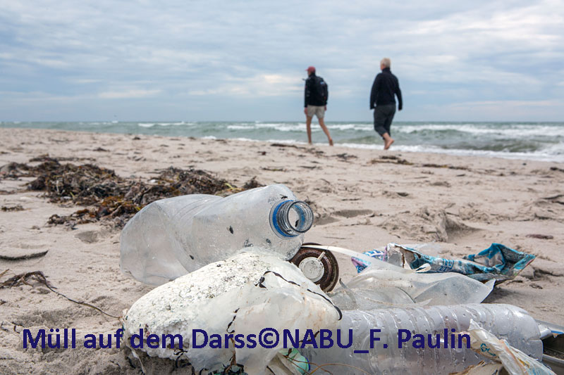Müll am Strand auf dem Darss