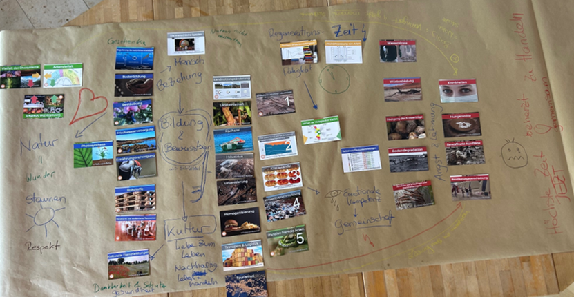 Puzzle der Biodiversität